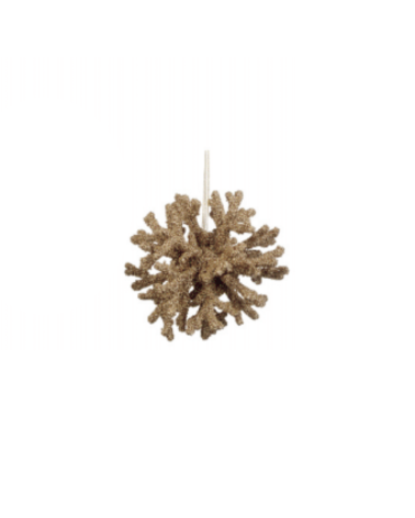 Goodwill - Sfera Coral